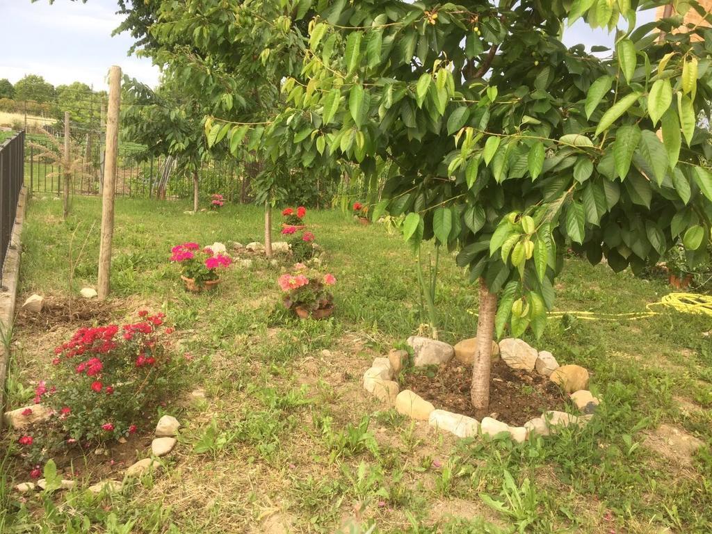 B&B San Giorgio Traversetolo Buitenkant foto